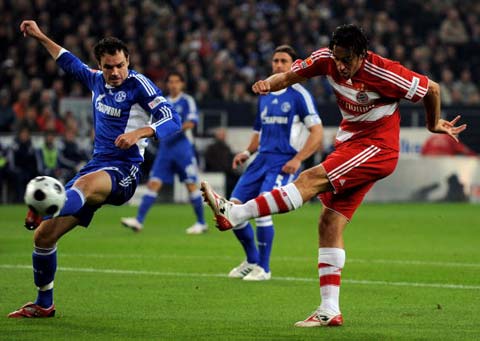 也正因此 也正因此