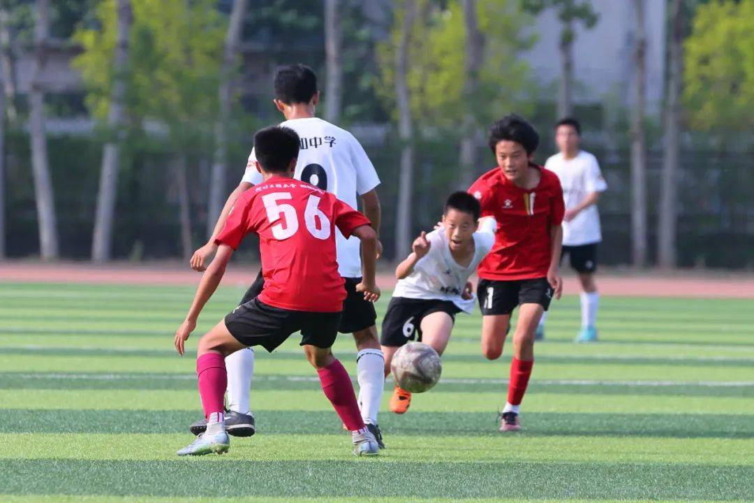 双16强 双16强
